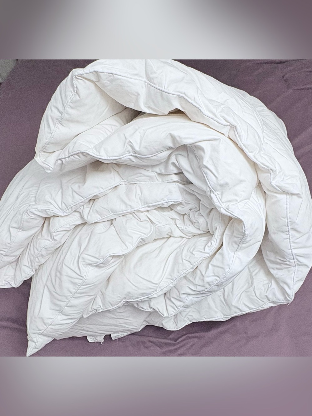 True North Queen Goose Down Feather Comforter Duvet Insert White